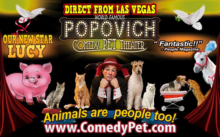 Popovich Comedy Pet Theatre. Photo courtesy of Edmondscenterforthearts.org