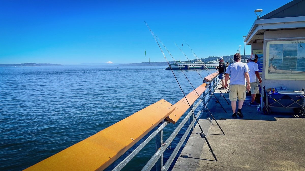 Fishing on Edmonds Fishing Pier with ferry 